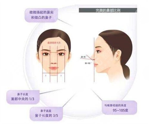 鹰钩鼻矫正术有哪些 鹰钩鼻矫正术前后果对比图