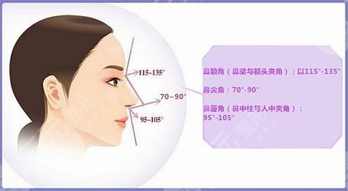 上海自体脂肪隆鼻多少钱 隆鼻整形前后对比照曝光