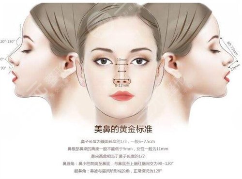 什么是骨膜下隆鼻整形，价格如何