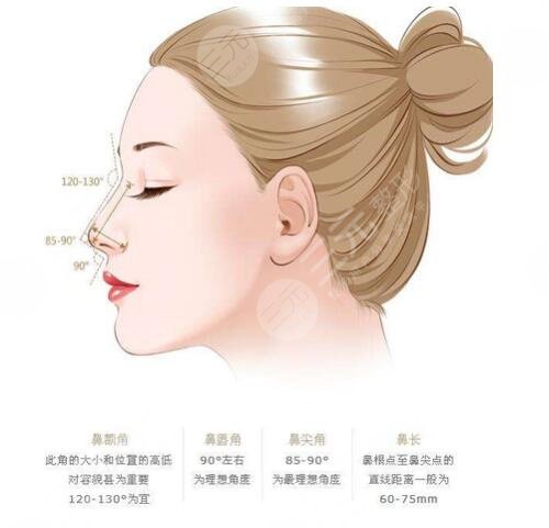 驼峰鼻矫正术价格