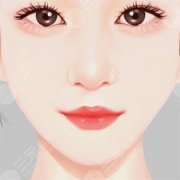 取颊脂垫