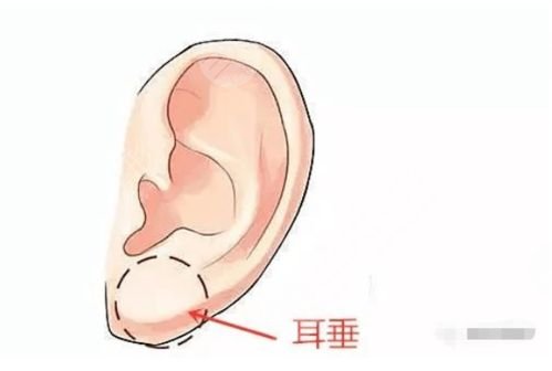 丰耳垂有危害吗