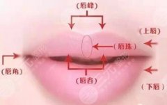 嘴唇太厚怎么通过锻炼变薄，有吗？科普解答美唇的4种方法！