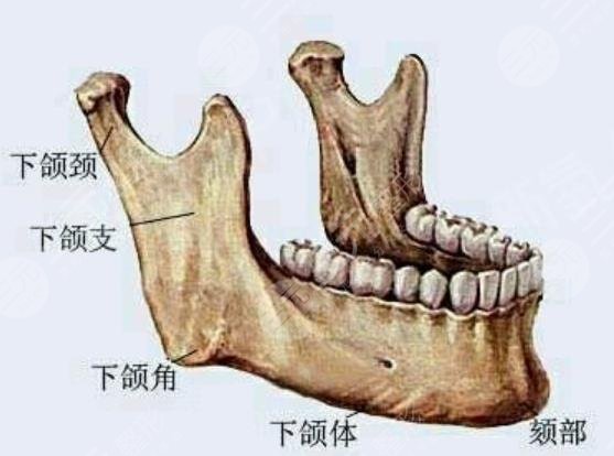 磨骨