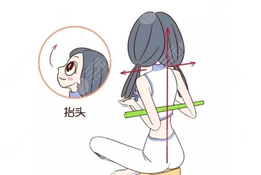 背部训练基本动作