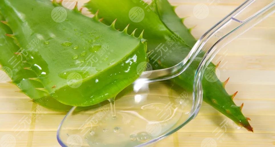 芦荟的功与作用对皮肤的作用有哪些?