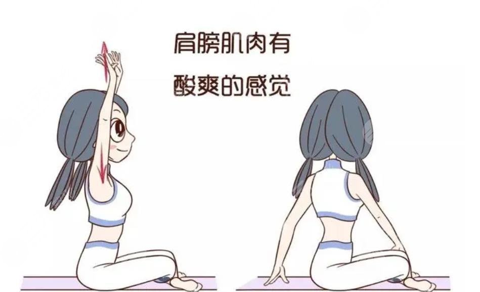 什么样的背才是女人的美背?