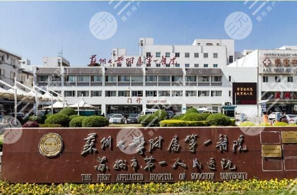 闵玮,朱月倩等实力解读!