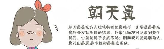 朝天鼻纠正整形手术费用多少钱?