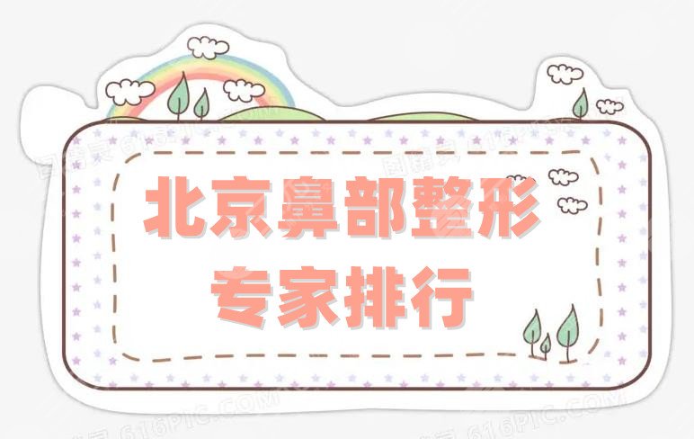 北京鼻部整形专家排行
