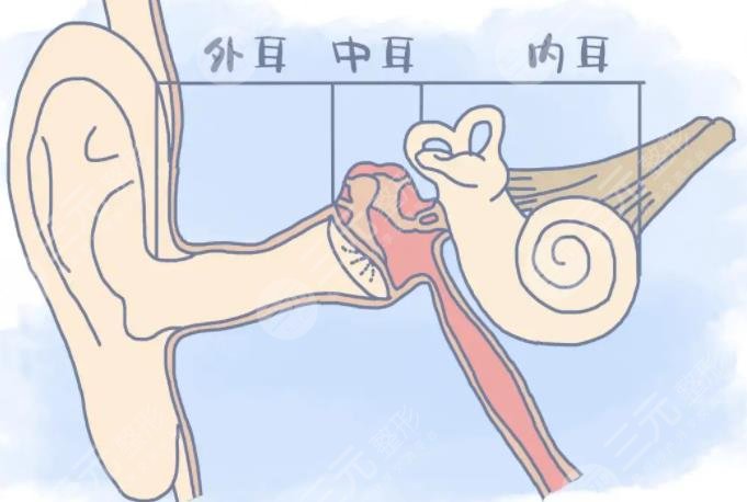 耳畸形再造手术医保能报销吗?手术大概需要多少钱?需要掏空钱包来做吗?