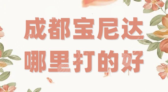 成都宝尼达哪里打的好