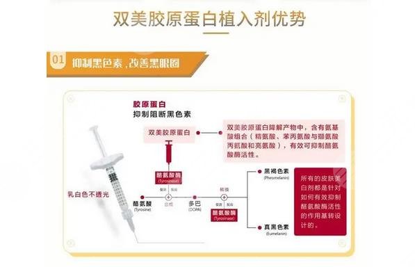 双美胶原蛋白一支多少钱?