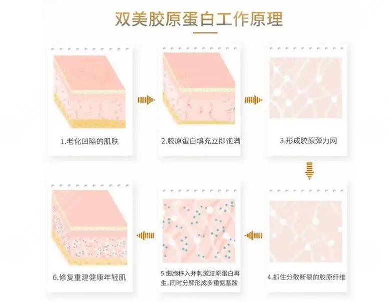 双美胶原蛋白一支多少钱?