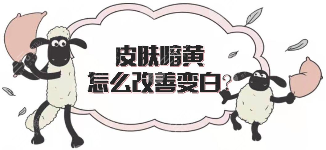 皮肤暗黄怎么改良变白?