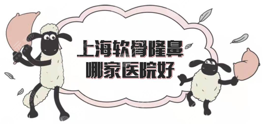 上海软骨隆鼻哪家医院好?