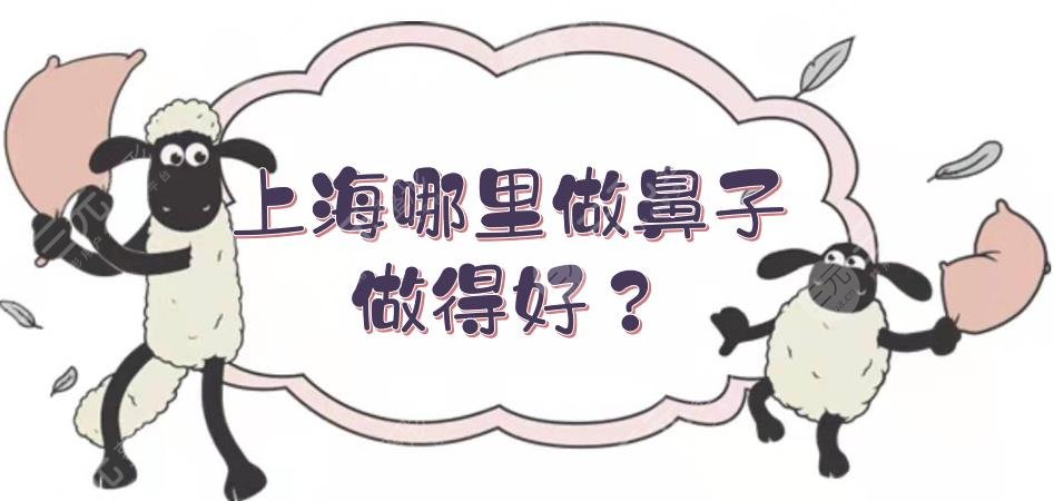 上海哪里做鼻子做得好?出名的医院盘点!美立方、九院、艺星等排前五~