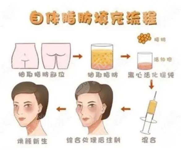 西京整形美容医院擅长项目