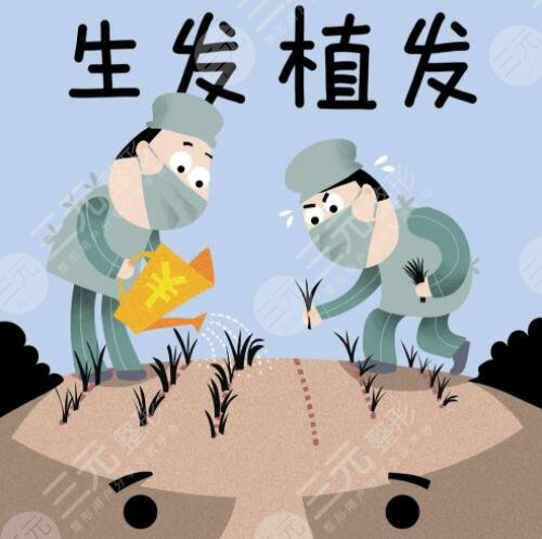 植发手术10元20元区别大吗?区别主要在哪里?质量?服务?毛囊数?