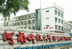 河南科技大学第二附属医院点阵激光的技术怎么样？医院|案例|术后果图|