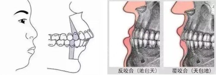 广州德伦口腔门诊部擅长项目