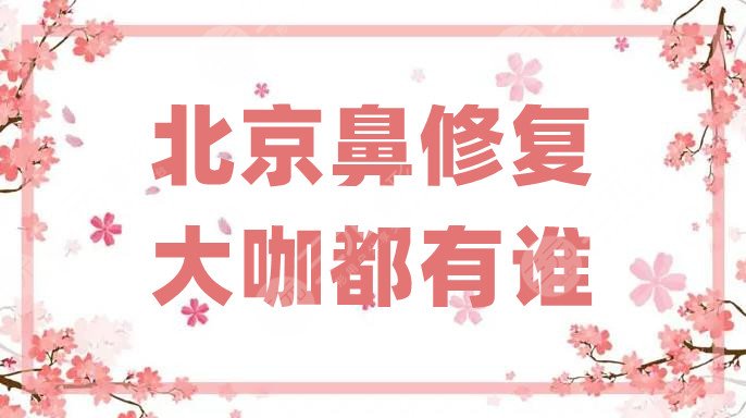 北京鼻修复大咖都有谁