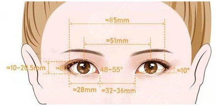 双眼皮案例|双眼皮6毫米果图