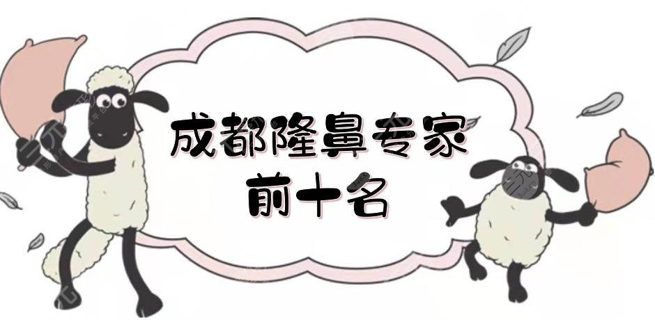 成都隆鼻专家前十名