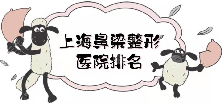 上海鼻梁整形医院排名|哪家好？九院\伊莱美\天大等，5家实测