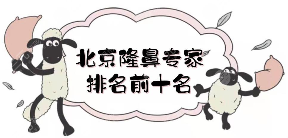 北京隆鼻专家排名前十名