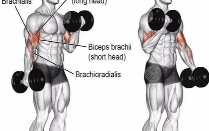 侧向弯曲哑铃运动