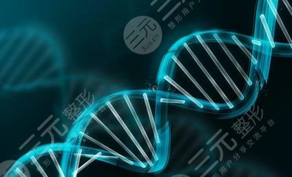 如何判断双眼皮是显性还是隐性