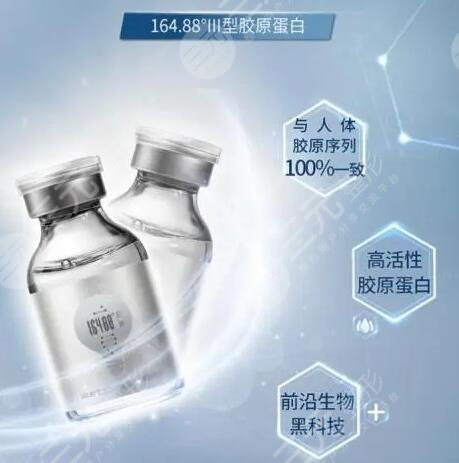 人源化III型胶原蛋白