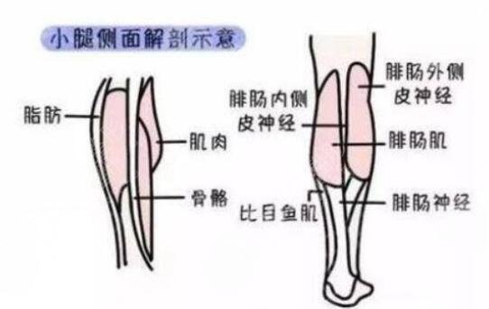 抽脂瘦小腿手术有哪些优势?