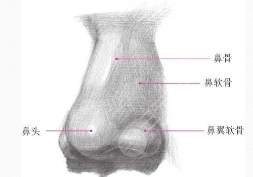 鼻头鼻翼缩小影响因素介绍