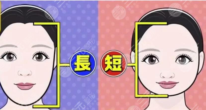 长形脸适合的发型图片详解