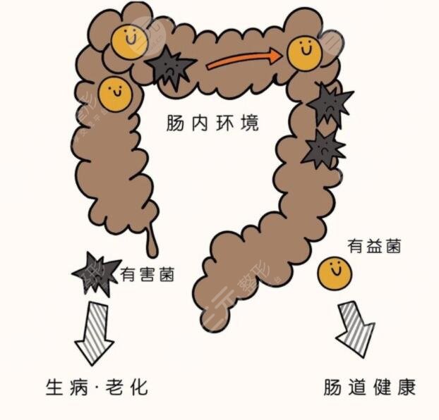 清肠道排宿便有的方法有哪些?