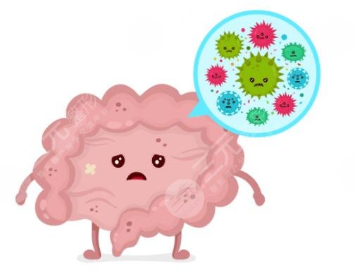 排毒养颜胶囊有什么禁忌?