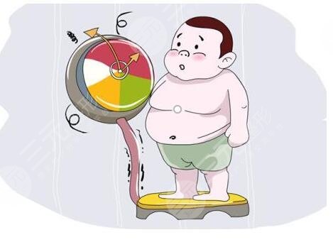 易胖体质减肥方法