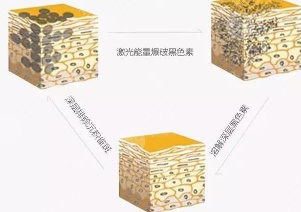 黄瓜白面液涂于面部