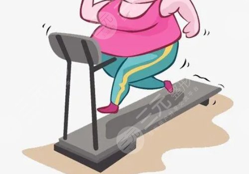 美容院减肥食谱