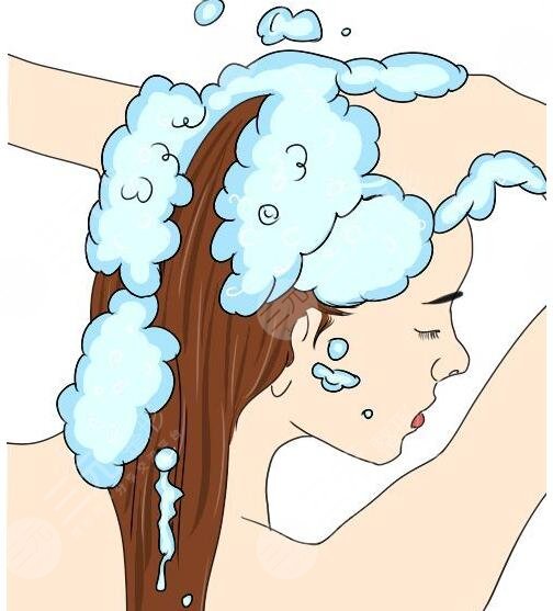 频繁洗头会导致脱发吗?