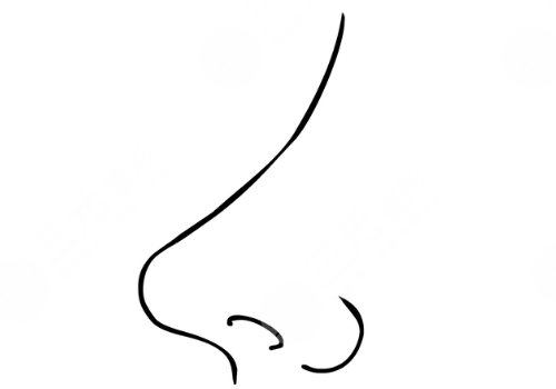 怎么让鼻头变小？