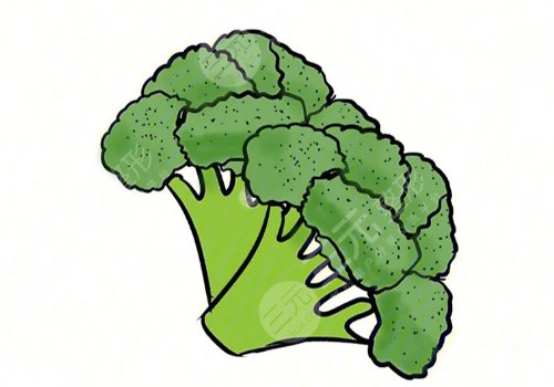 美容养颜的食物有哪些?