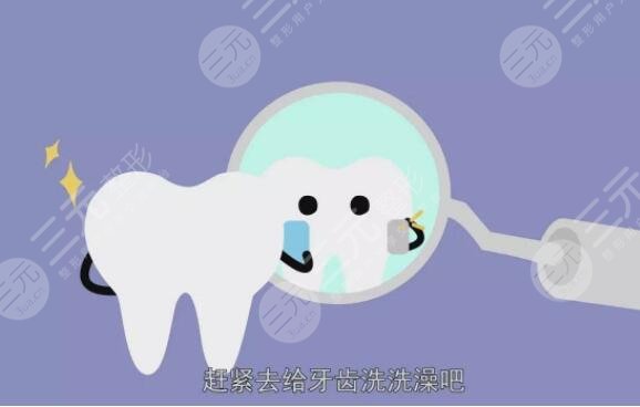 洗牙齿有什么好处和坏处?洗牙频率半年还是一年?注意事项有哪些?
