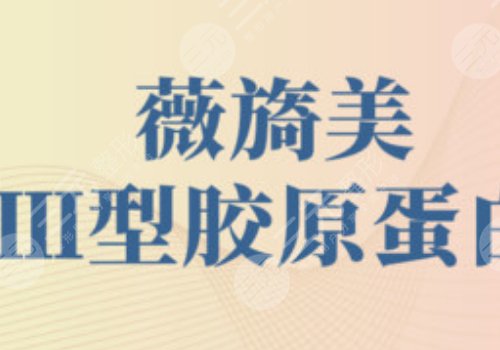 薇旖美三型胶原蛋白价格是多少？