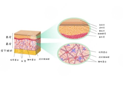  注射复合骨胶原的副作用有哪些?