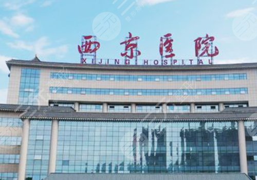 金长鑫擅长什么鼻型?