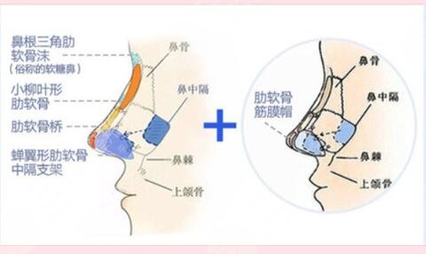 上海第六人民医院特色项目