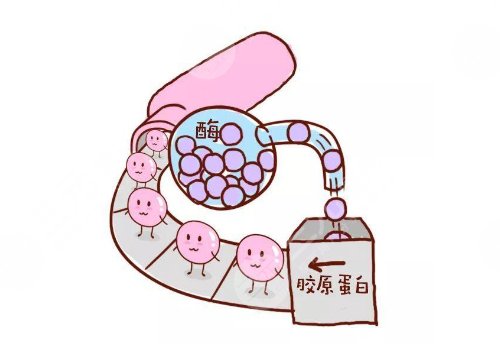胶原蛋白填充脸部多少钱?